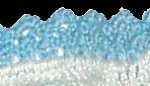 Border Detail Item Number: 1097