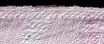 Border Detail Item Number: 1019