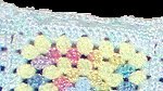 Border Detail Item Number: 1133