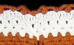 Border Detail Item Number: 1116
